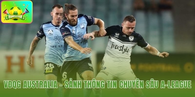 Hệ thống dữ liệu giải A-League tại website