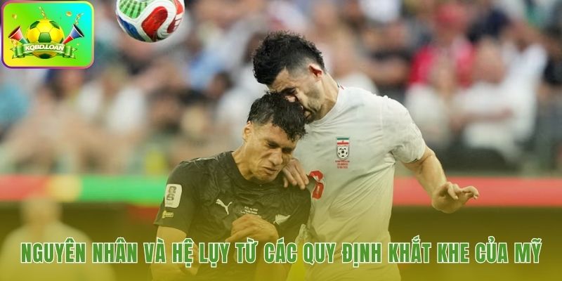 Rào cản an ninh nội địa và tác động chuyên môn